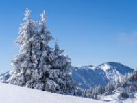 Traumhafte Winterlandschaft